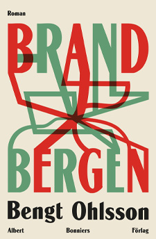 brandbergen.jpg