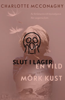 envildmorkkust_slutilager.jpg